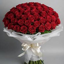 Букет 101 Красная роза Блэк Мэджик в Посёлок Подольской машинно-испытательной станции