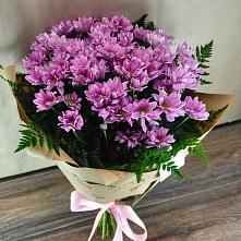Букет цветов из:  Хризантемы #REPLACE_PRED# Посёлок Подольской машинно-испытательной станции
