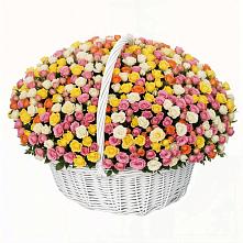 Премиум букет из: Розы в Посёлок Подольской машинно-испытательной станции