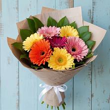 Букет цветов из:  Герберы #REPLACE_PRED# Посёлок Подольской машинно-испытательной станции