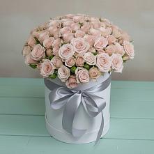 Цветочная композиция из Розы в шляпной коробке #REPLACE_PRED# Посёлок Подольской машинно-испытательной станции