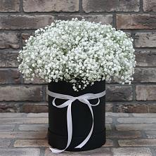 Цветочная композиция из Гипсофила в шляпной коробке в Посёлок Подольской машинно-испытательной станции