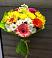Букет цветов из: Герберы и Хризантемы в Посёлок Подольской машинно-испытательной станции