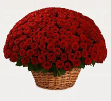 Премиум букет из: Розы в Посёлок Подольской машинно-испытательной станции